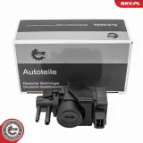 Druckwandler, Abgassteuerung ESEN SKV 14SKV918