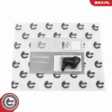 Waschwasserdüse, Scheibenreinigung vorne ESEN SKV 15SKV215