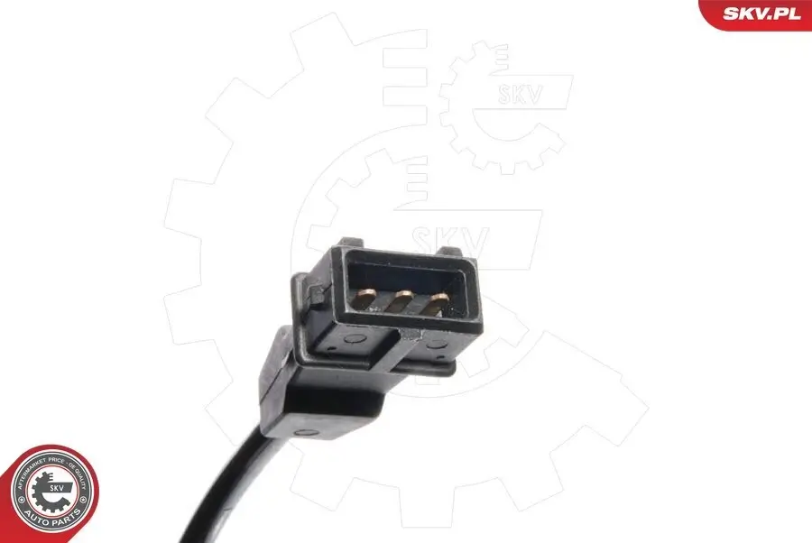 Unterdruckpumpe, Bremsanlage ESEN SKV 18SKV041