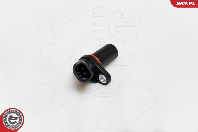 Unterdruckpumpe, Bremsanlage ESEN SKV 18SKV048