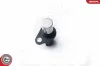 Sensor, Nockenwellenposition 12 V ESEN SKV 17SKV252 Bild Sensor, Nockenwellenposition 12 V ESEN SKV 17SKV252