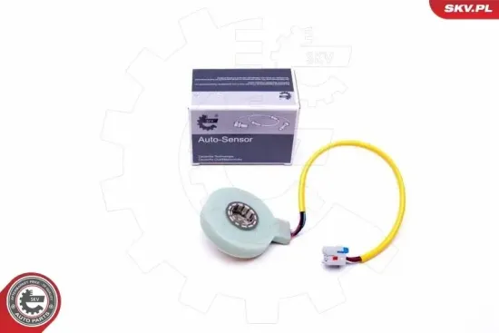 Lenkwinkelsensor ESEN SKV 17SKV482 Bild Lenkwinkelsensor ESEN SKV 17SKV482