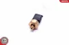 Sensor, Kraftstoffdruck ESEN SKV 17SKV622 Bild Sensor, Kraftstoffdruck ESEN SKV 17SKV622
