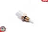 Sensor, Ansauglufttemperatur ESEN SKV 17SKV688 Bild Sensor, Ansauglufttemperatur ESEN SKV 17SKV688