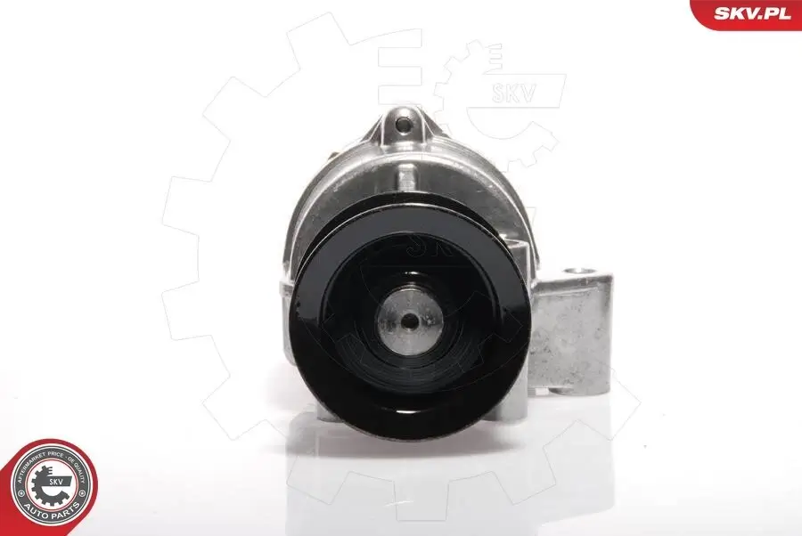 Unterdruckpumpe, Bremsanlage ESEN SKV 18SKV002