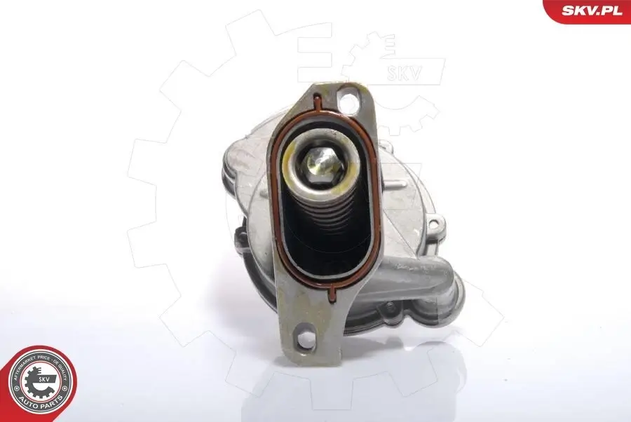 Unterdruckpumpe, Bremsanlage ESEN SKV 18SKV005