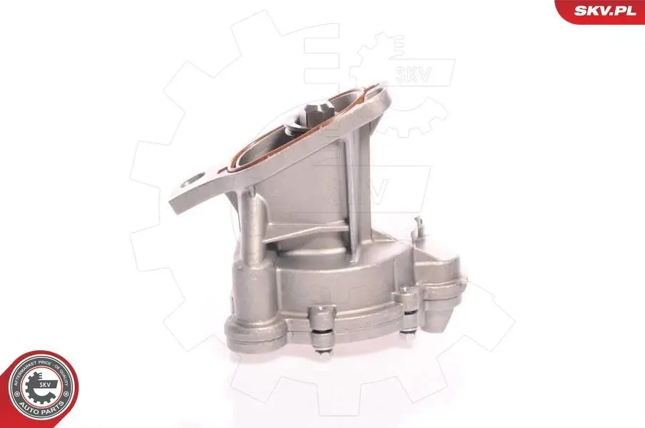 Unterdruckpumpe, Bremsanlage ESEN SKV 18SKV006