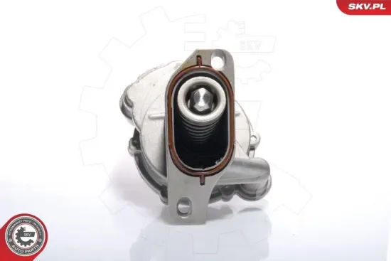 Unterdruckpumpe, Bremsanlage ESEN SKV 18SKV008 Bild Unterdruckpumpe, Bremsanlage ESEN SKV 18SKV008