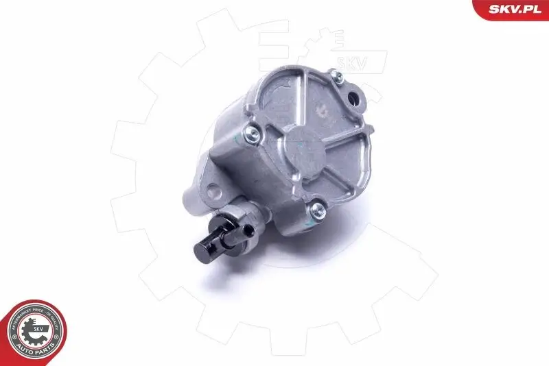 Wasserumwälzpumpe, Standheizung 12 V ESEN SKV 22SKV005