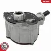 Unterdruckpumpe, Bremsanlage ESEN SKV 18SKV081 Bild Unterdruckpumpe, Bremsanlage ESEN SKV 18SKV081