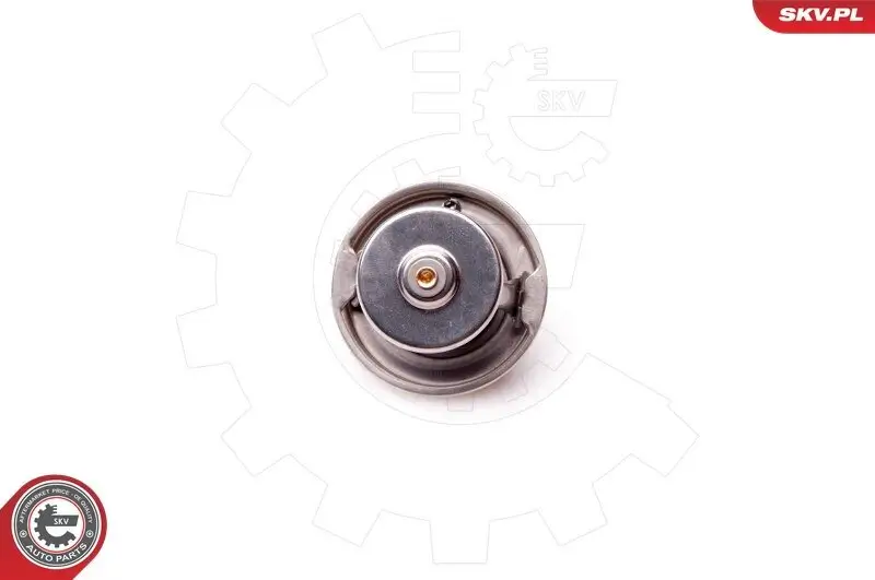 Thermostat, Kühlmittel ESEN SKV 20SKV048