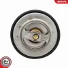 Thermostat, Kühlmittel ESEN SKV 20SKV246 Bild Thermostat, Kühlmittel ESEN SKV 20SKV246
