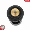 Thermostatgehäuse ESEN SKV 20SKV611 Bild Thermostatgehäuse ESEN SKV 20SKV611