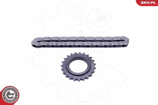Kettensatz, Ölpumpenantrieb ESEN SKV 21SKV100 Bild Kettensatz, Ölpumpenantrieb ESEN SKV 21SKV100