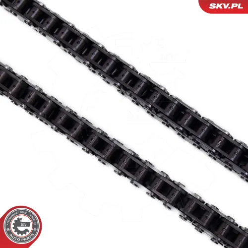 Steuerkettensatz ESEN SKV 21SKV166 Bild Steuerkettensatz ESEN SKV 21SKV166