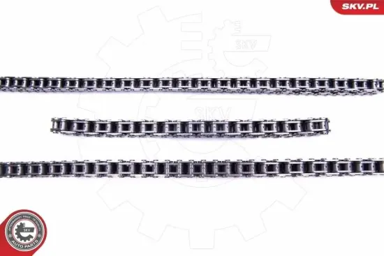 Steuerkettensatz ESEN SKV 21SKV174 Bild Steuerkettensatz ESEN SKV 21SKV174