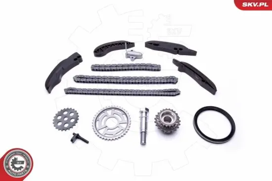Steuerkettensatz ESEN SKV 21SKV196 Bild Steuerkettensatz ESEN SKV 21SKV196