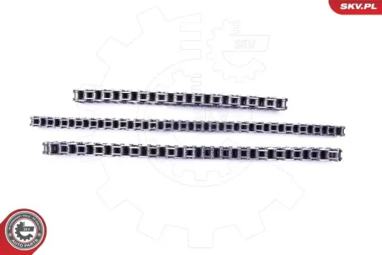 Steuerkettensatz ESEN SKV 21SKV196 Bild Steuerkettensatz ESEN SKV 21SKV196