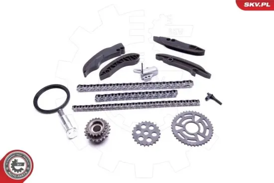 Steuerkettensatz ESEN SKV 21SKV199 Bild Steuerkettensatz ESEN SKV 21SKV199