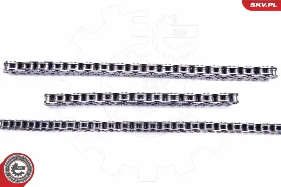 Steuerkettensatz ESEN SKV 21SKV199 Bild Steuerkettensatz ESEN SKV 21SKV199