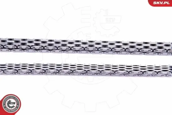 Steuerkettensatz ESEN SKV 21SKV242 Bild Steuerkettensatz ESEN SKV 21SKV242