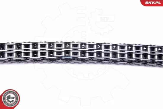 Steuerkettensatz ESEN SKV 21SKV247 Bild Steuerkettensatz ESEN SKV 21SKV247