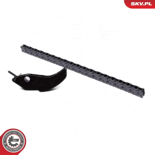 Steuerkettensatz ESEN SKV 21SKV252 Bild Steuerkettensatz ESEN SKV 21SKV252