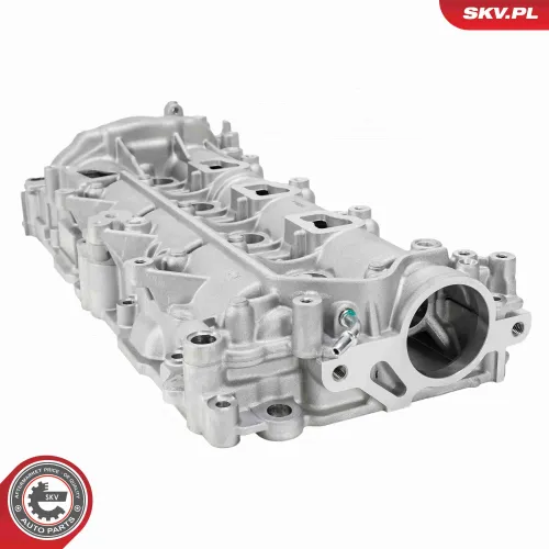 Nockenwellensatz ESEN SKV 21SKV272 Bild Nockenwellensatz ESEN SKV 21SKV272