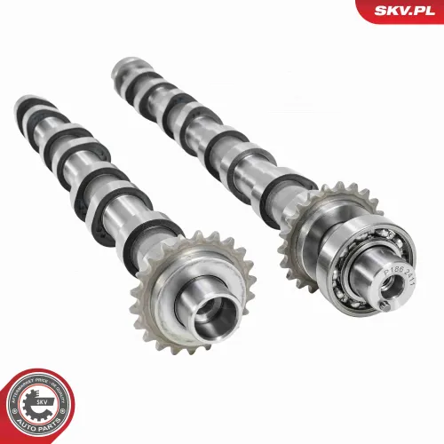 Nockenwellensatz ESEN SKV 21SKV272 Bild Nockenwellensatz ESEN SKV 21SKV272