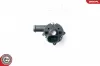 Wasserumwälzpumpe, Standheizung 12 V ESEN SKV 22SKV005 Bild Wasserumwälzpumpe, Standheizung 12 V ESEN SKV 22SKV005