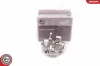 Bremssattel Hinterachse rechts ESEN SKV 23SKV388