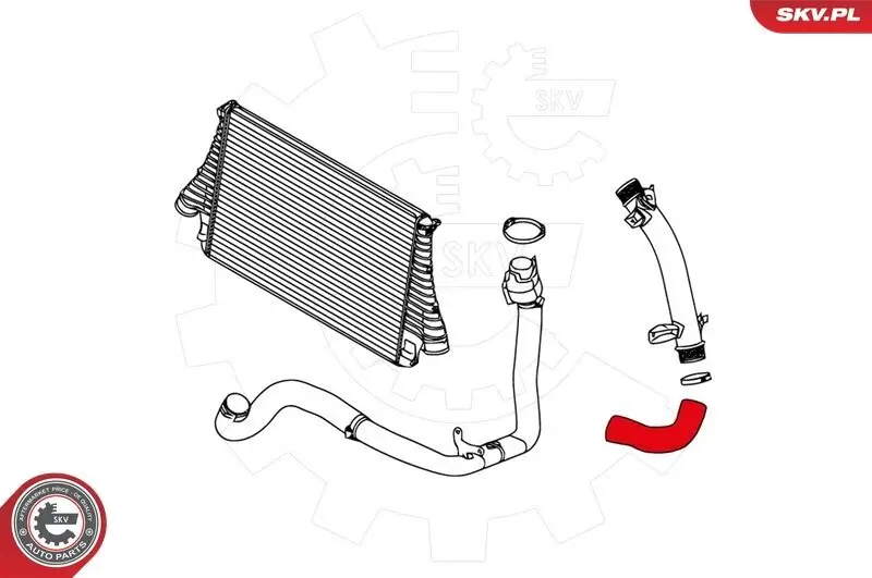 Ladeluftschlauch hinten links ESEN SKV 24SKV217