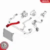 Kühlerschlauch rechts unten ESEN SKV 24SKV255 Bild Kühlerschlauch rechts unten ESEN SKV 24SKV255