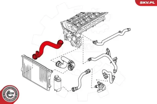 Kühlerschlauch rechts unten ESEN SKV 24SKV273 Bild Kühlerschlauch rechts unten ESEN SKV 24SKV273