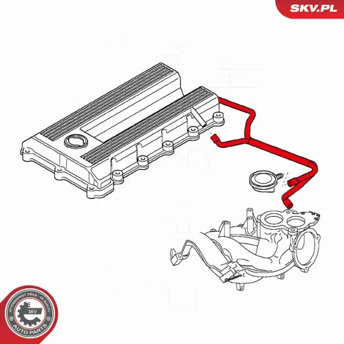 Kühlerschlauch ESEN SKV 24SKV395 Bild Kühlerschlauch ESEN SKV 24SKV395