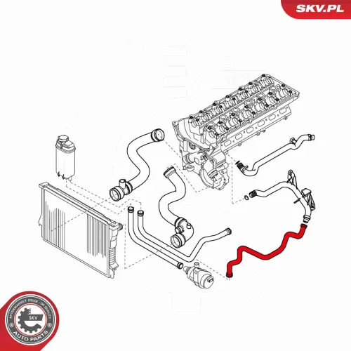 Kühlerschlauch ESEN SKV 24SKV398 Bild Kühlerschlauch ESEN SKV 24SKV398