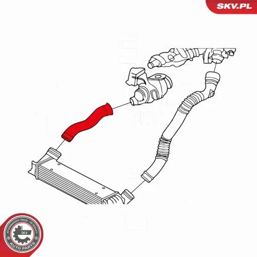 Radlagersatz Vorderachse ESEN SKV 29SKV182 Bild Radlagersatz Vorderachse ESEN SKV 29SKV182