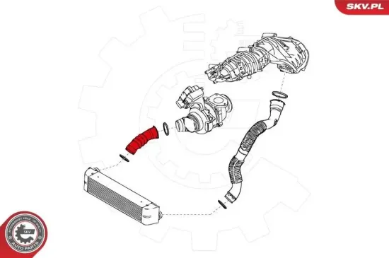 Radlagersatz Vorderachse ESEN SKV 29SKV402 Bild Radlagersatz Vorderachse ESEN SKV 29SKV402