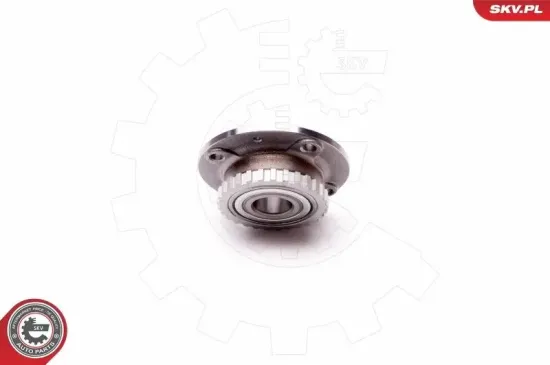 Radlagersatz Hinterachse ESEN SKV 29SKV025 Bild Radlagersatz Hinterachse ESEN SKV 29SKV025