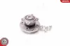 Radlagersatz Hinterachse ESEN SKV 29SKV060 Bild Radlagersatz Hinterachse ESEN SKV 29SKV060