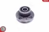 Radlagersatz Hinterachse ESEN SKV 29SKV224 Bild Radlagersatz Hinterachse ESEN SKV 29SKV224