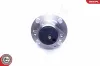 Radlagersatz Hinterachse ESEN SKV 29SKV259 Bild Radlagersatz Hinterachse ESEN SKV 29SKV259