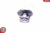 Radlagersatz Hinterachse ESEN SKV 29SKV295 Bild Radlagersatz Hinterachse ESEN SKV 29SKV295