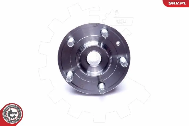 Ölabscheider, Kurbelgehäuseentlüftung ESEN SKV 31SKV091