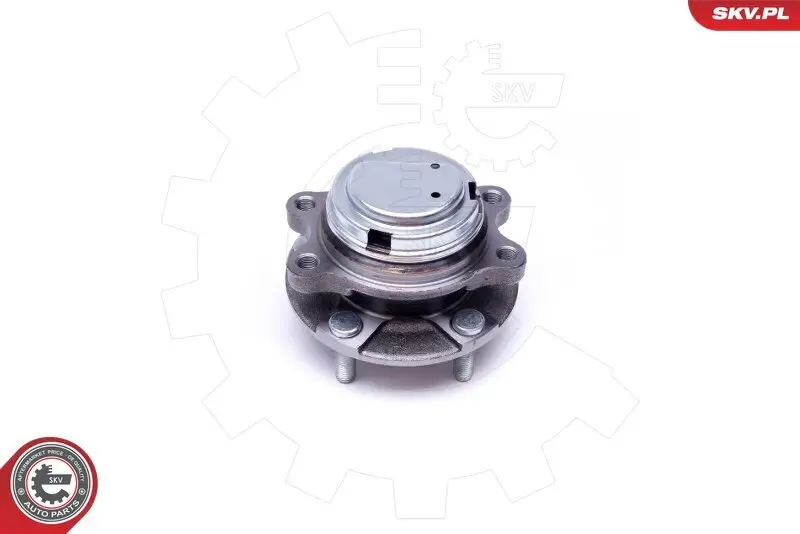 Membran, Kurbelgehäuseentlüftung ESEN SKV 31SKV141