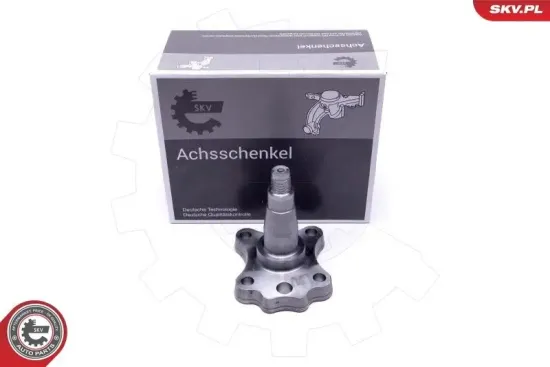 Radlagersatz Hinterachse ESEN SKV 29SKV995 Bild Radlagersatz Hinterachse ESEN SKV 29SKV995