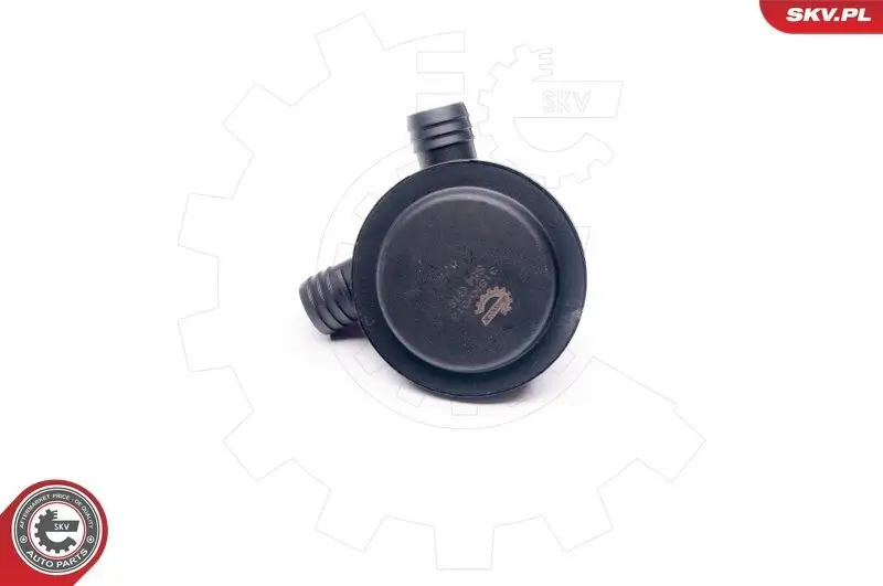 Schalter, Hauptlicht 12 V ESEN SKV 36SKV018