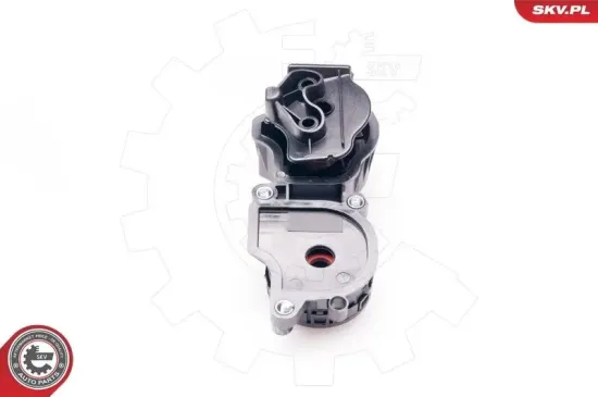 Ventil, Kurbelgehäuseentlüftung Zylinderkopf ESEN SKV 31SKV036 Bild Ventil, Kurbelgehäuseentlüftung Zylinderkopf ESEN SKV 31SKV036