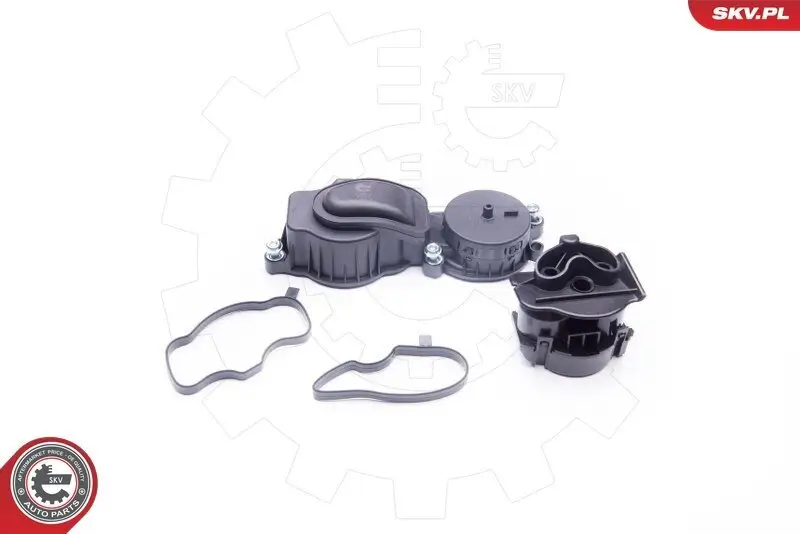 Ventil, Kurbelgehäuseentlüftung Zylinderkopf ESEN SKV 31SKV037