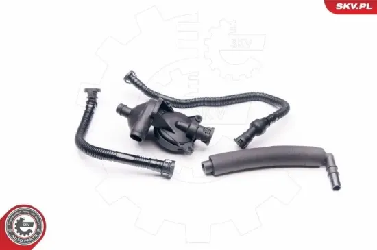 Reparatursatz, Kurbelgehäuseentlüftung Zylinderkopf ESEN SKV 31SKV042 Bild Reparatursatz, Kurbelgehäuseentlüftung Zylinderkopf ESEN SKV 31SKV042